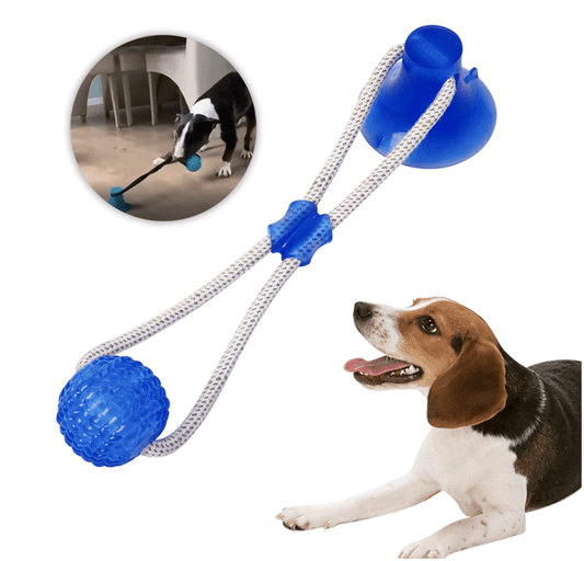 CrocFit - Jouet à mâcher puissant pour chien