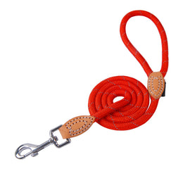 Laisse pour chien 150cm en nylon 2 en 1