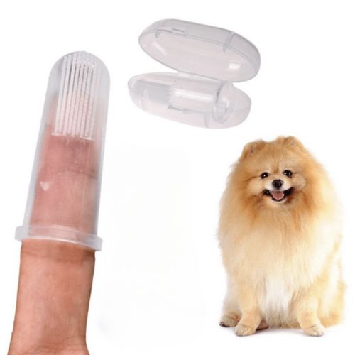 Mini Brosse à Dents pour Chien