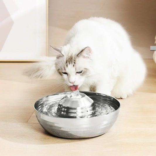 Petite Fontaine à Eau Chat en Acier Inoxydable