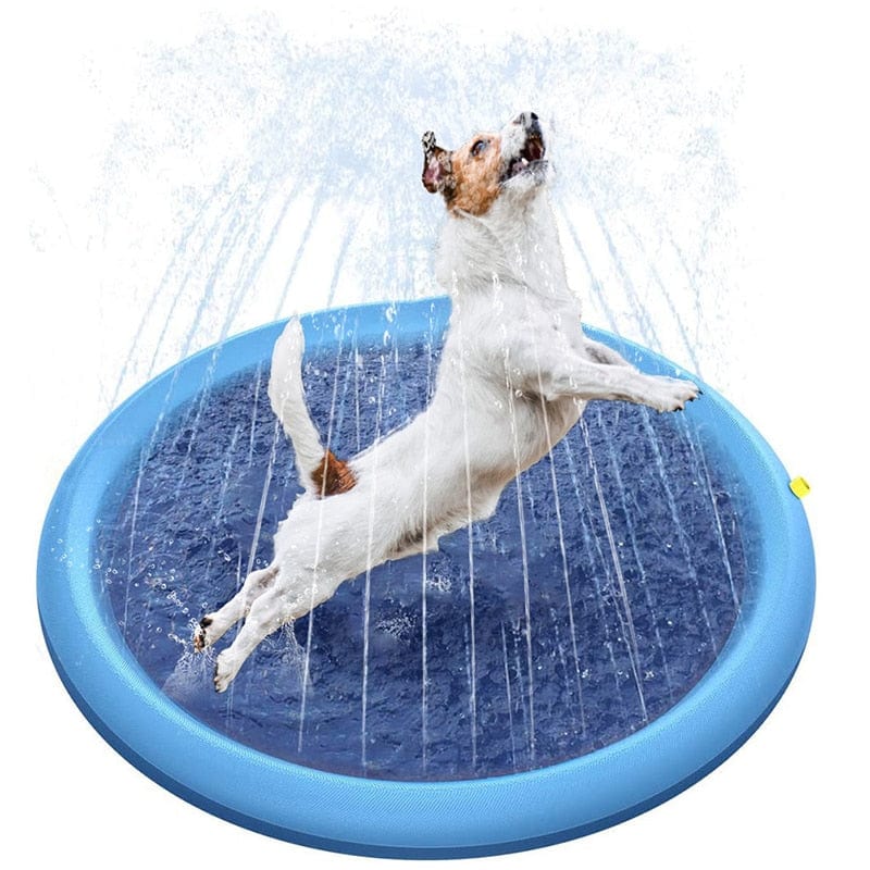 Piscine jets d&#39;eau pour chien