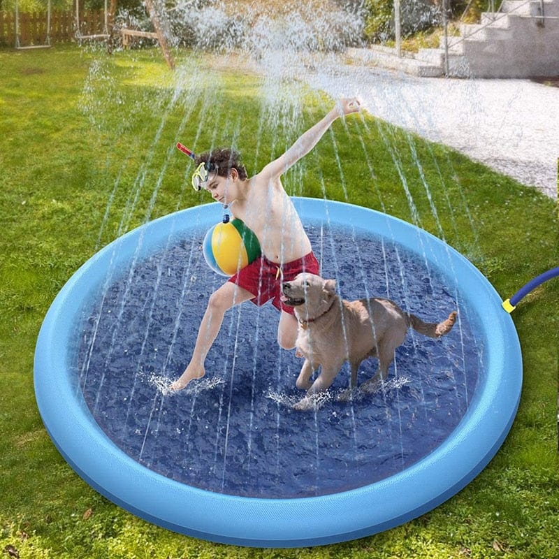 Piscine jets d&#39;eau pour chien