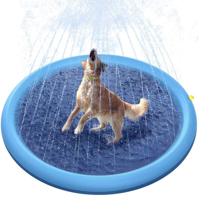 Piscine jets d&#39;eau pour chien