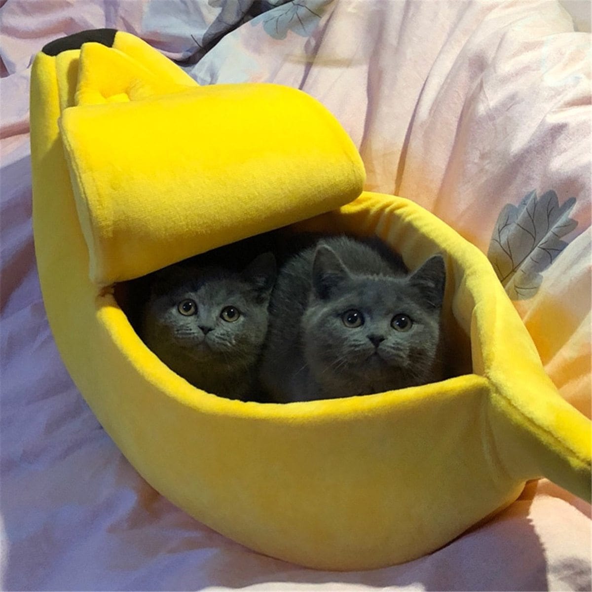 Panier banane pour Chats