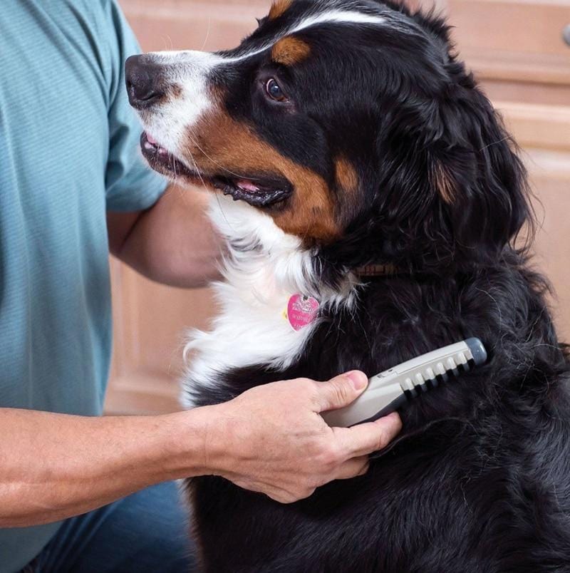 Peigne électrique coupe noeuds pour chiens et chats